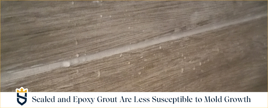 Grout Sealing Mold Resistant