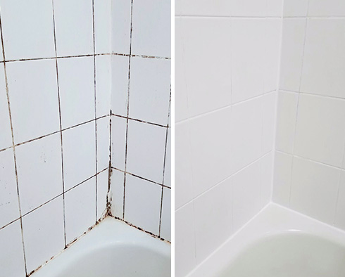 Does Your Shower Have Mold, Mildew and Soap Scum Like this One?