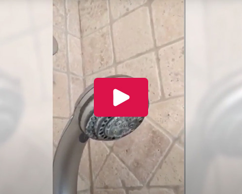 Sir Grout Showcases the Importance of Avoiding Harsh Chemicals When Cleaning Stone Showers