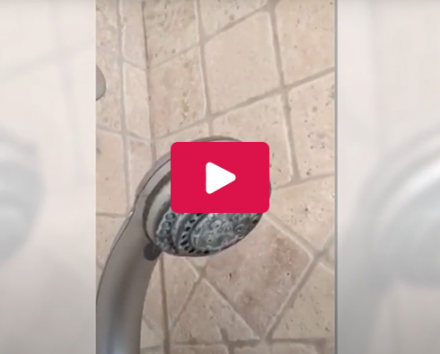 Sir Grout Showcases the Importance of Avoiding Harsh Chemicals When Cleaning Stone Showers
