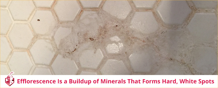 Efflorescence Is a Buildup of Minerals That Forms Hard, White Spots