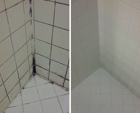 Do You Have Mold and Mildew in Your Shower? See How a Tile & Grout Cleaning and Sealing Can Help