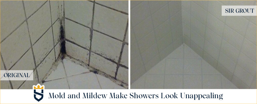 Mold and Mildew in Your Shower? See How a Tile & Grout Cleaning and Sealing Can Help Before & After