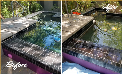 Pool Deck Before and After Stone Cleaning and Sealing