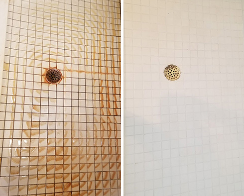 Tile and Grout Cleaning and Sealing: The Best Solution for Rust and Dye Stains in Showers
