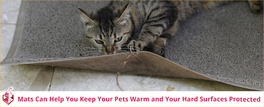 Mats can help you keep your pets warm and your hard surfaces protected