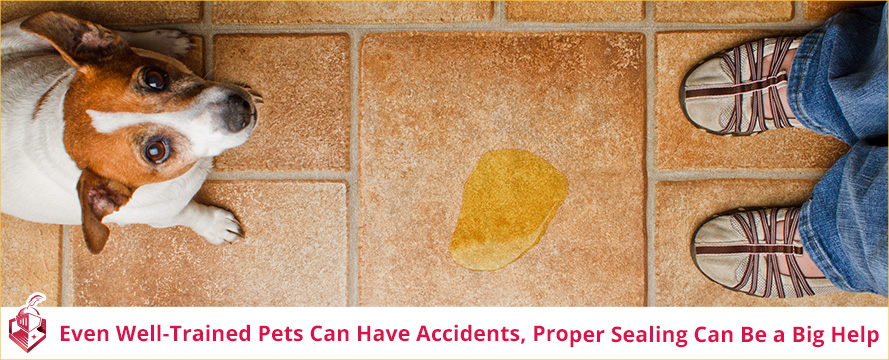 Even well-trained pets can have accidents; proper sealing can be a big help