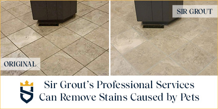 Dog urine on travertine floor hotsell