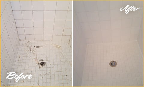 https://www.sirgrout.com/images/p/217/shower-grout-regrouting-480.jpg