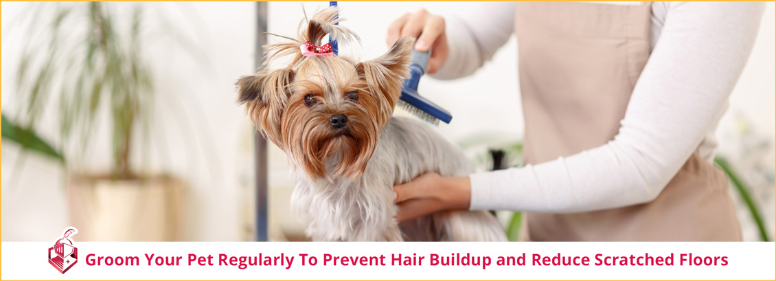 Groom Your Pet to Keep Hair and Nails at Bay
