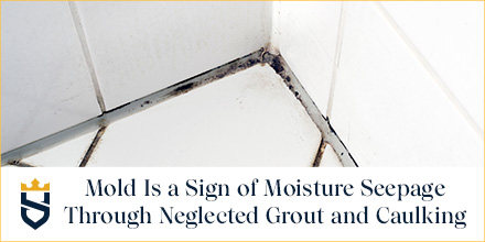 How to Fix a Leaky Shower Without Removing Tiles: Expert Tips