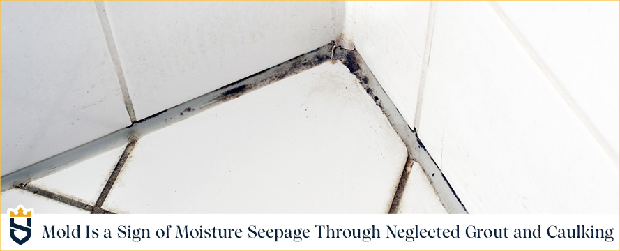 Mold Is a Sign of Moisture Seepage through Neglected Grout and Caulking