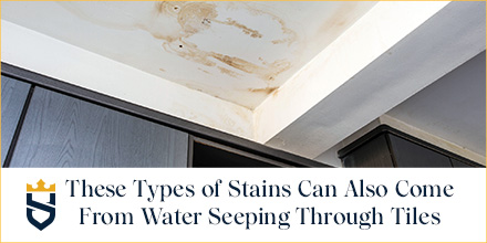 Shower Leaking Into Ceiling Below | Shelly Lighting