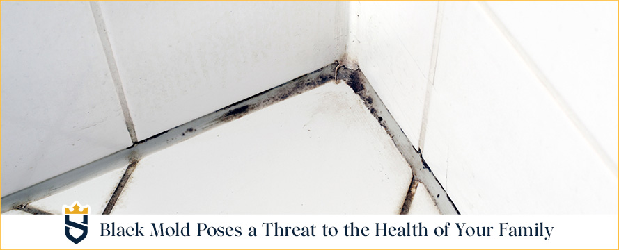 Black Mold Poses a Threat to the Health of Your Family