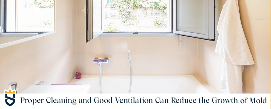 Proper Cleaning and Good Ventilation Can Reduce the Growth of Mold