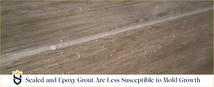 Sealed and Epoxy Grout Are Less Susceptible to Mold Growth