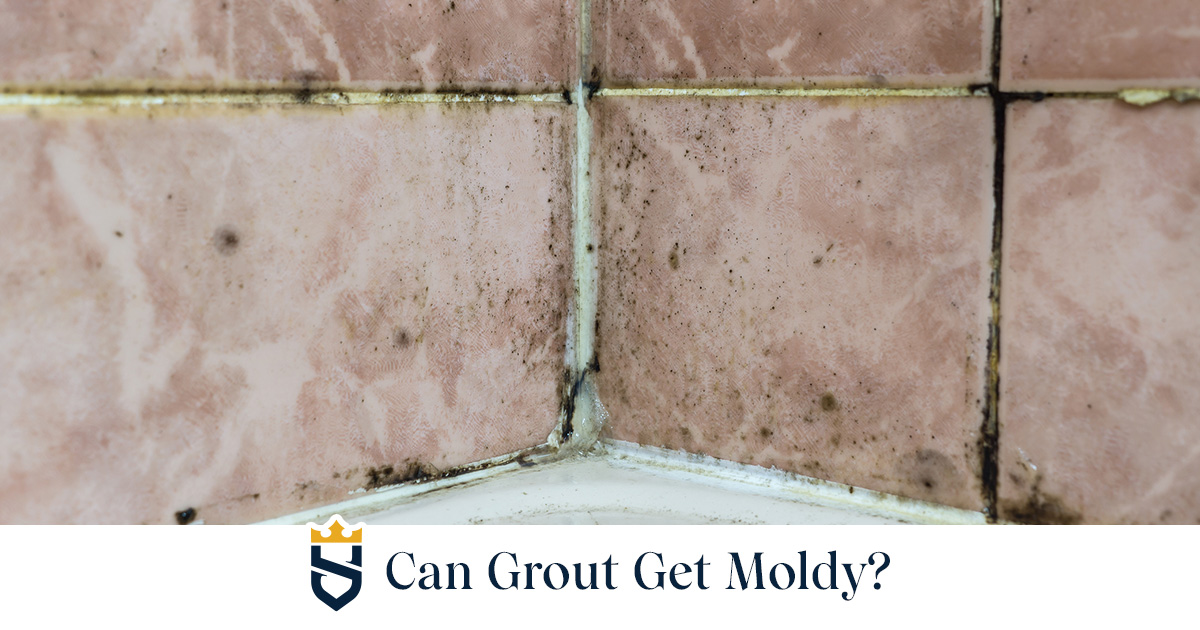 Can Grout Get Moldy?