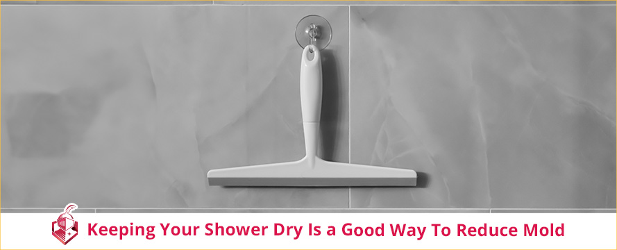 Keeping Your Shower Dry Is a Good Way To Reduce Mold