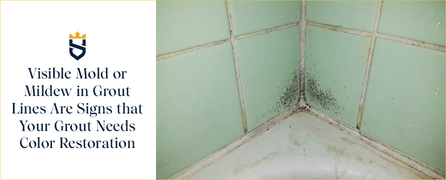 Visible Mold or Mildew in Grout Lines Are Signs that Your Grout Needs Color Restoration