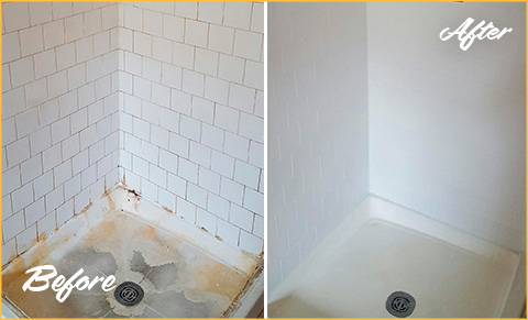https://www.sirgrout.com/images/p/5/grout-sealing-shower-480.jpg