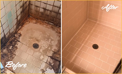 https://www.sirgrout.com/images/p/5/tile-cleaning-shower-mold-480.jpg