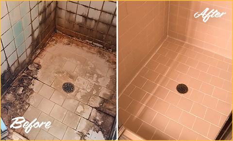 Residential Tile and Grout Cleaning and Sealing Sir Grout