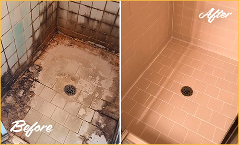 Top 5 Secrets for Cleaning Your Shower Grout and Tile