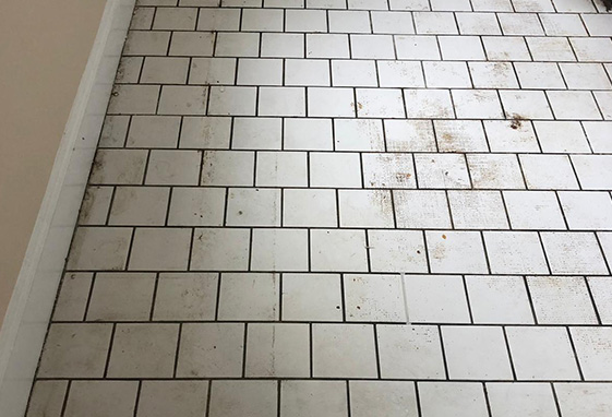 Residential Grout Recoloring and Sealing Before