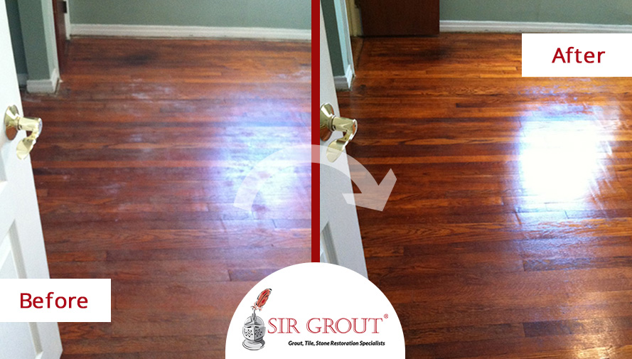 Hardwood Floors, Removing Dog Scratches From Hardwood Floors Without Sanding