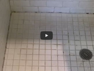 Does Your Shower Have Mold, Mildew and Soap Scum Like this One?
