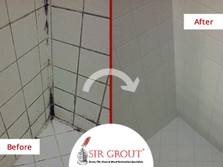Do You Have Mold and Mildew in Your Shower? See How a Tile & Grout Cleaning and Sealing Can Help