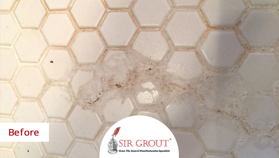Do You Have Efflorescence in Your Bathroom? Stone Cleaning and Sealing Can Take Care of It