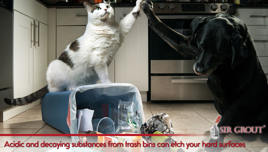 Proper sealing and pet-proof trash cans can help prevent etching and stains Acidic and decaying substances from trash cans can etch your hard surfaces