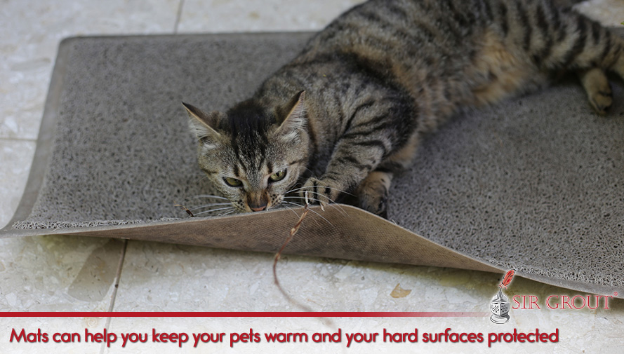 Keep your pet's nails trimmed to avoid scratches Mats can help you keep your pets warm and your hard surfaces protected