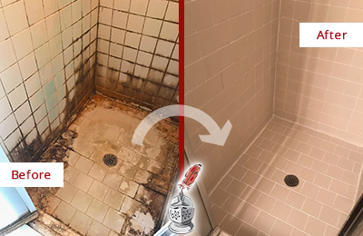 Sir Grout Can Clean Tile and Grout to Remove Mold and Mildew Picture of Tile Shower Plagued with Mold and Mildew Before and After Cleaning Tile and Grout