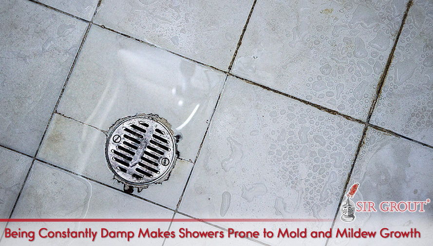 Bathrooms Don't Clean Themselves Being Constantly Damp Makes Showers Prone to Mold and Mildew Growth