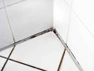 Fix A Leaking Shower Without Removing Tiles, Water Leaking Through Floor Tiles