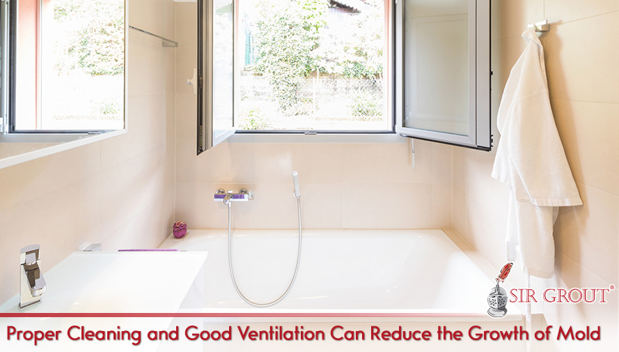 Proper Cleaning and Good Ventilation Can Reduce the Growth of Mold