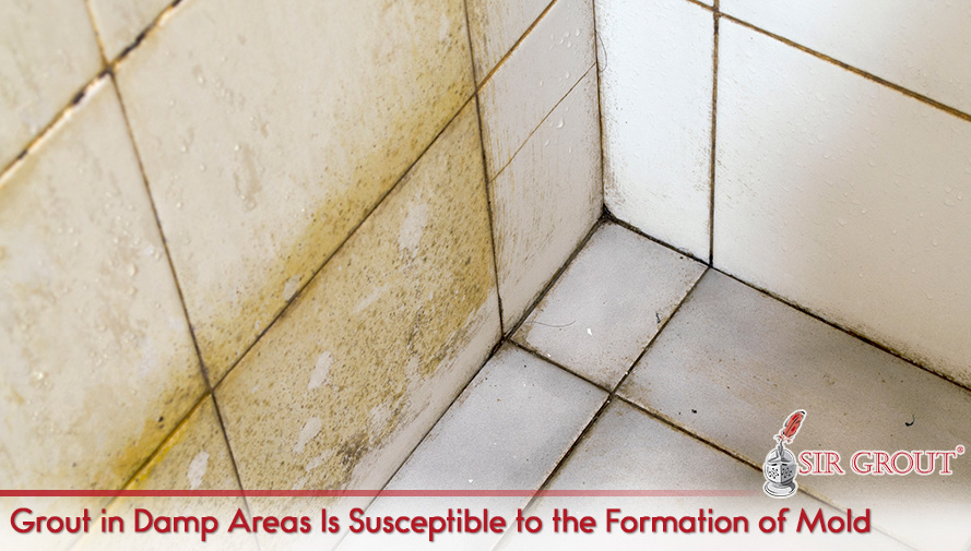 Grout in Damp Areas Is Susceptible to the Formation of Mold
