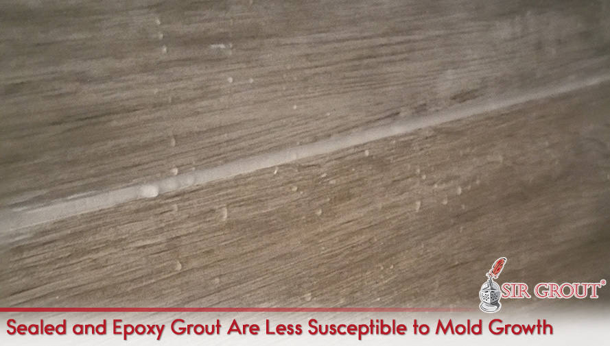 2)	Sealed and Epoxy Grout Are Less Susceptible to Mold Growth