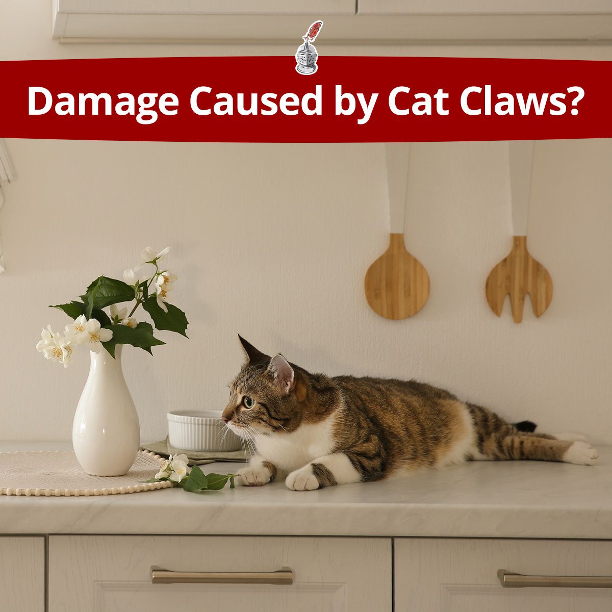 Damage Caused by Cat Claws?