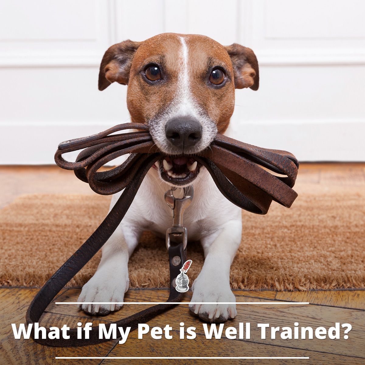 What if My Pet is Well Trained?